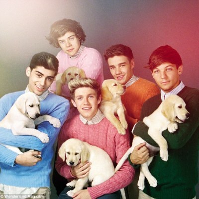 One Direction One Direction